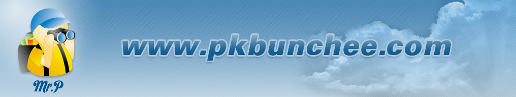 pkbunchee.com